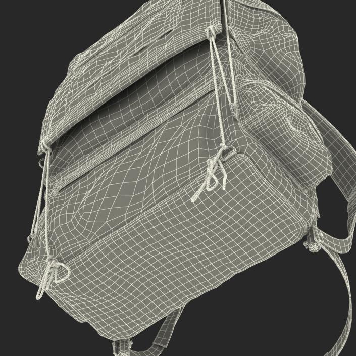 3D Camping Backpack 2 model