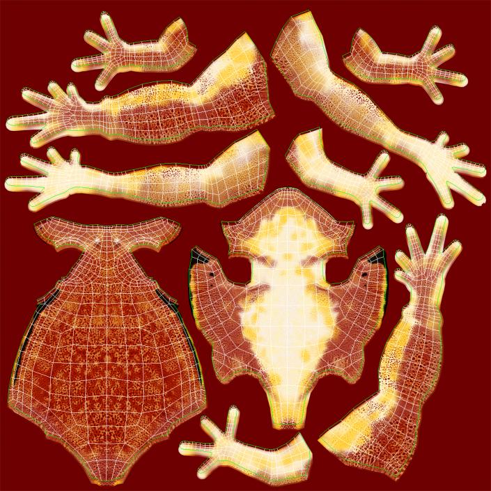 3D Tomato Frog Pose 2 model