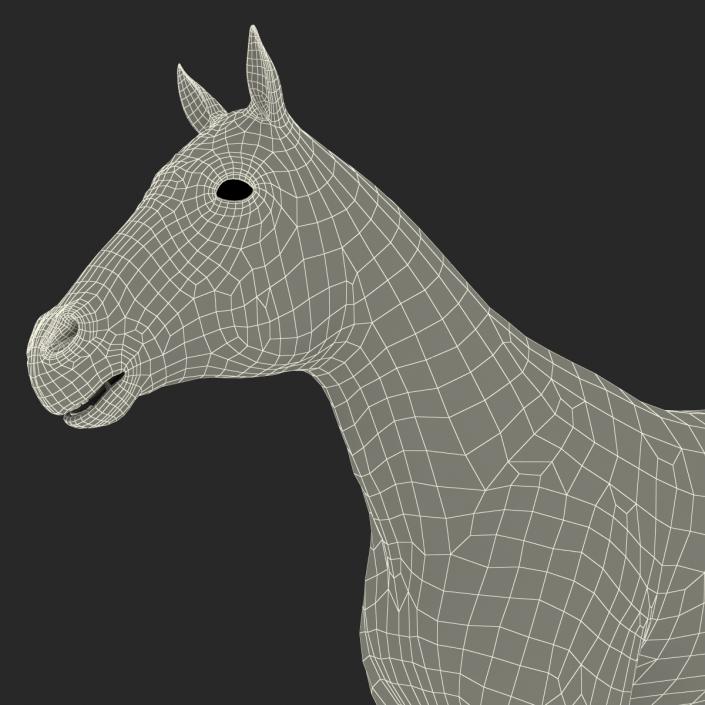 3D Horse with Fur 2