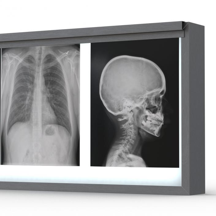 XRay Light Box 3D model