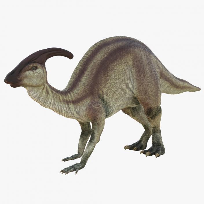 Parasaurolophus Pose 3 3D