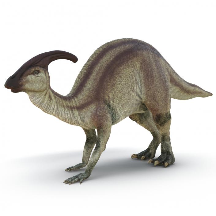 Parasaurolophus Pose 3 3D