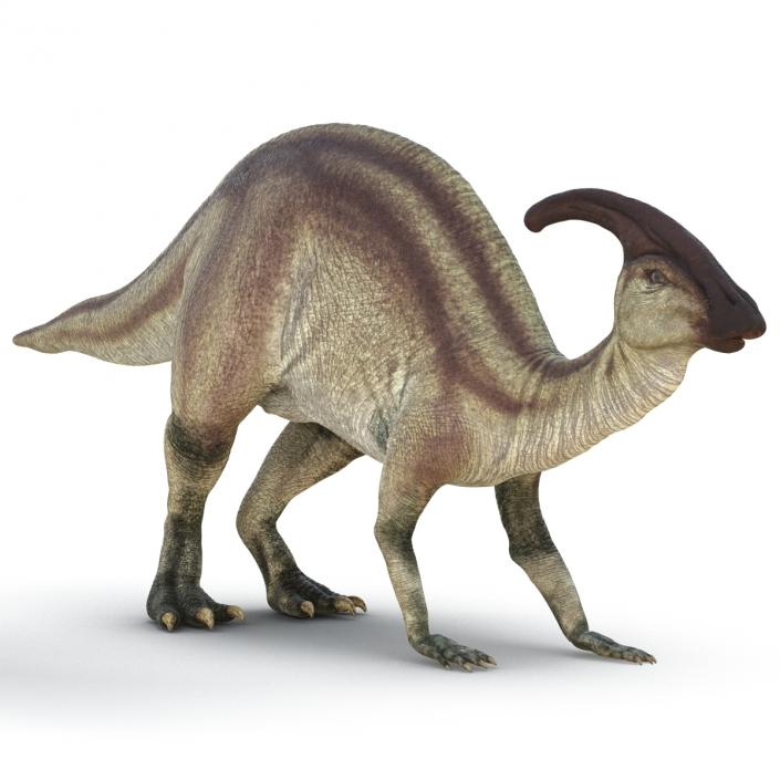 Parasaurolophus Pose 3 3D