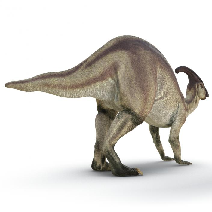 Parasaurolophus Pose 3 3D