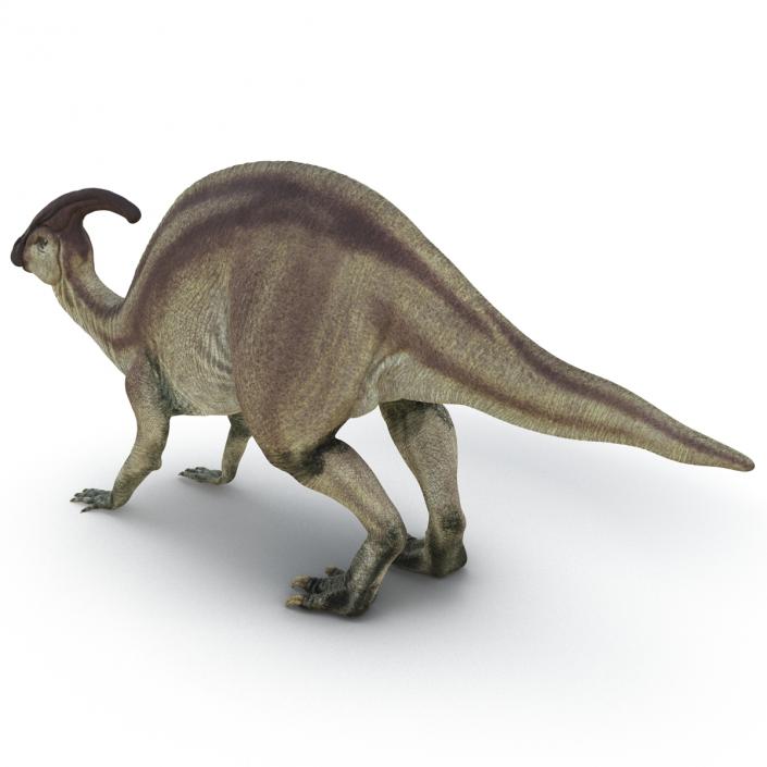 Parasaurolophus Pose 3 3D