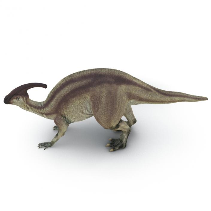 Parasaurolophus Pose 3 3D