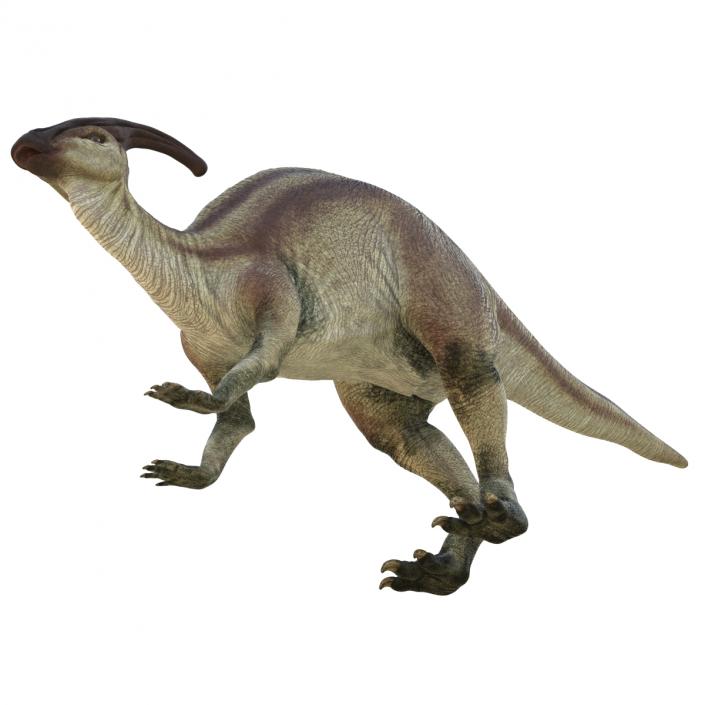 Parasaurolophus Pose 3 3D