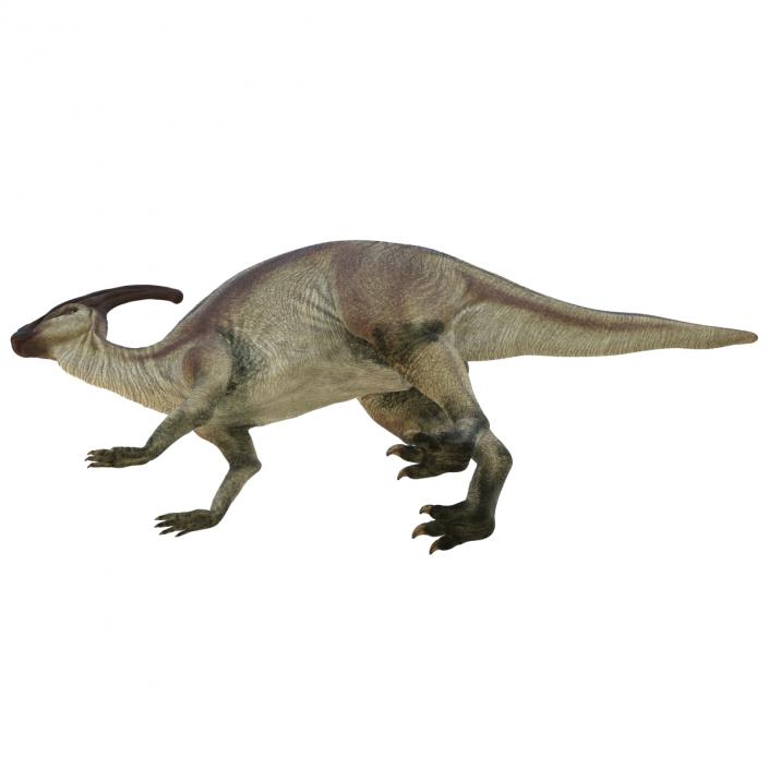 Parasaurolophus Pose 3 3D