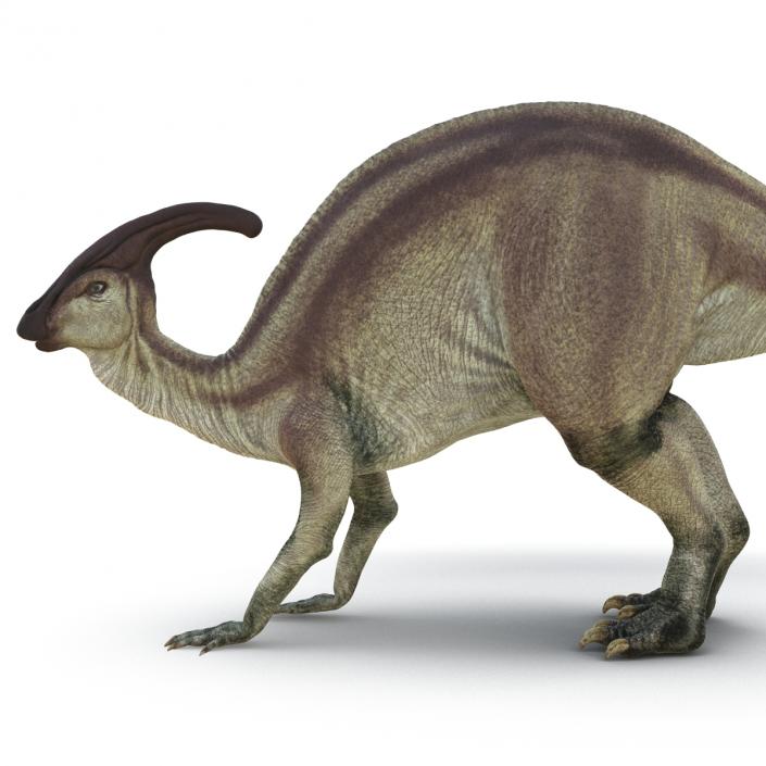 Parasaurolophus Pose 3 3D