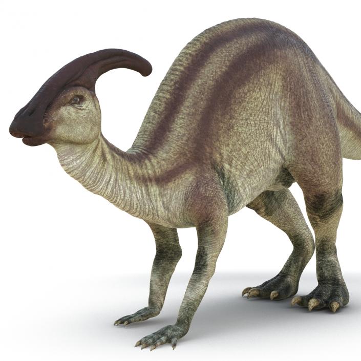 Parasaurolophus Pose 3 3D