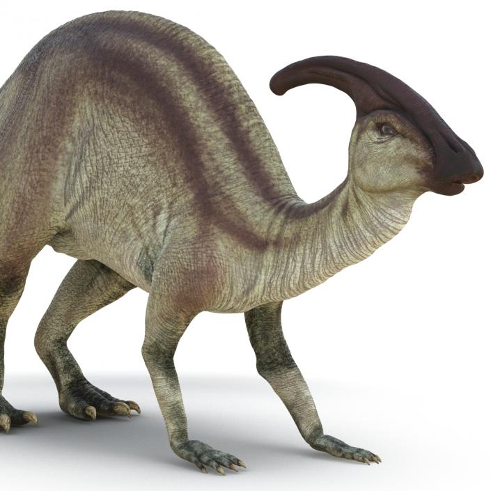 Parasaurolophus Pose 3 3D