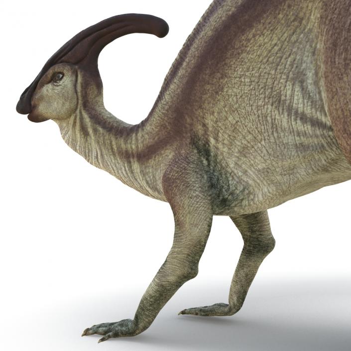 Parasaurolophus Pose 3 3D