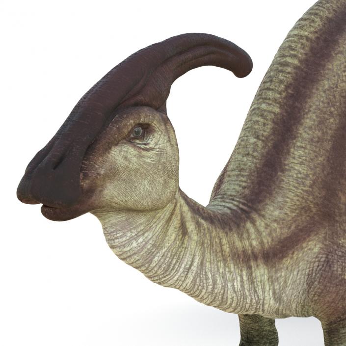 Parasaurolophus Pose 3 3D