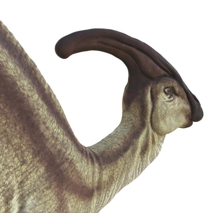 Parasaurolophus Pose 3 3D