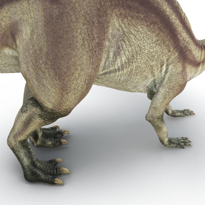 Parasaurolophus Pose 3 3D