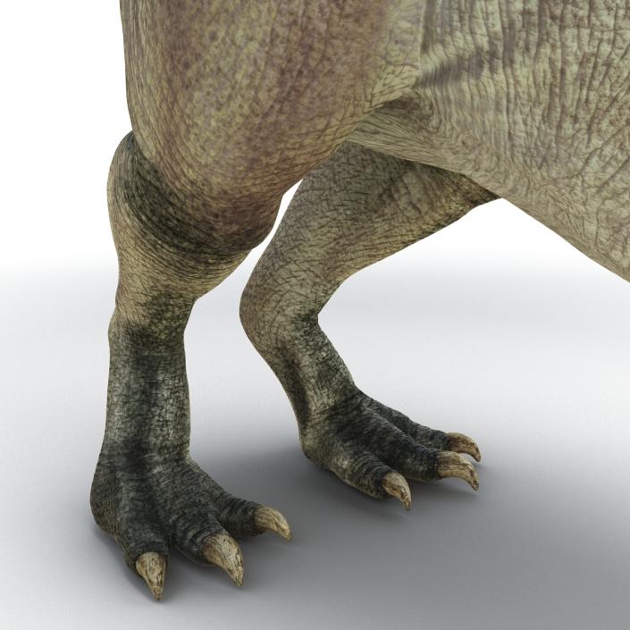 Parasaurolophus Pose 3 3D