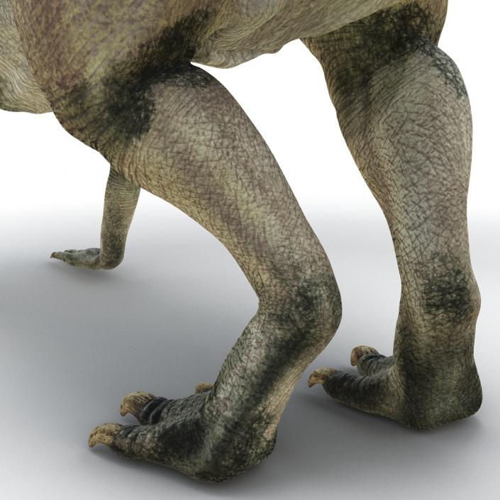 Parasaurolophus Pose 3 3D