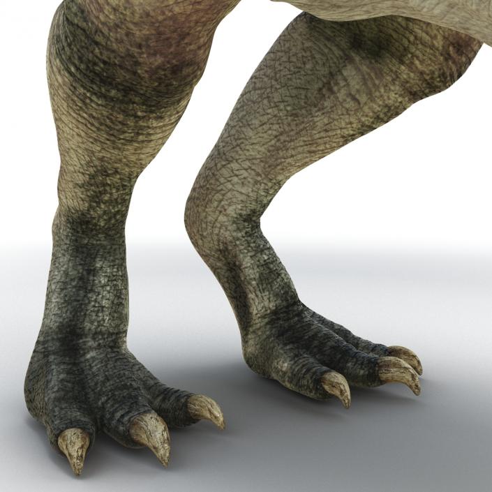 Parasaurolophus Pose 3 3D