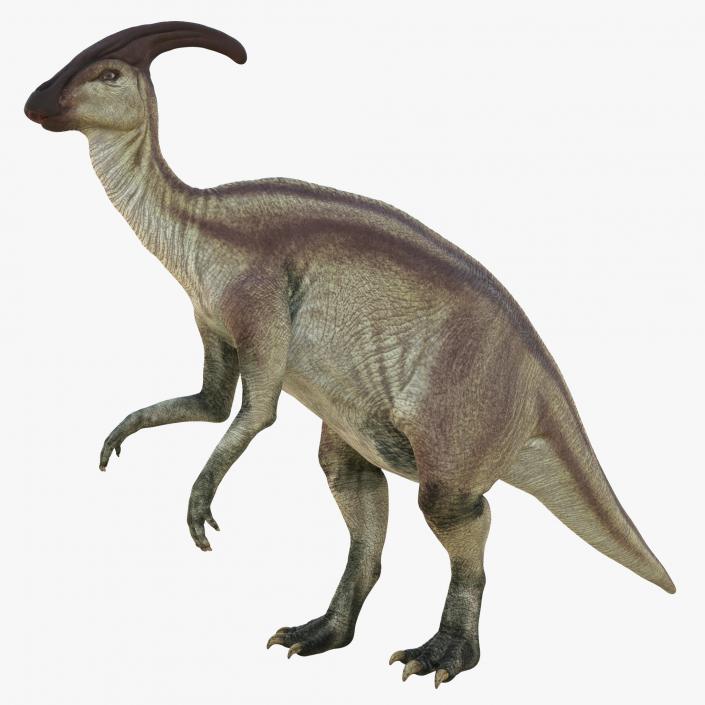 Parasaurolophus Pose 4 3D