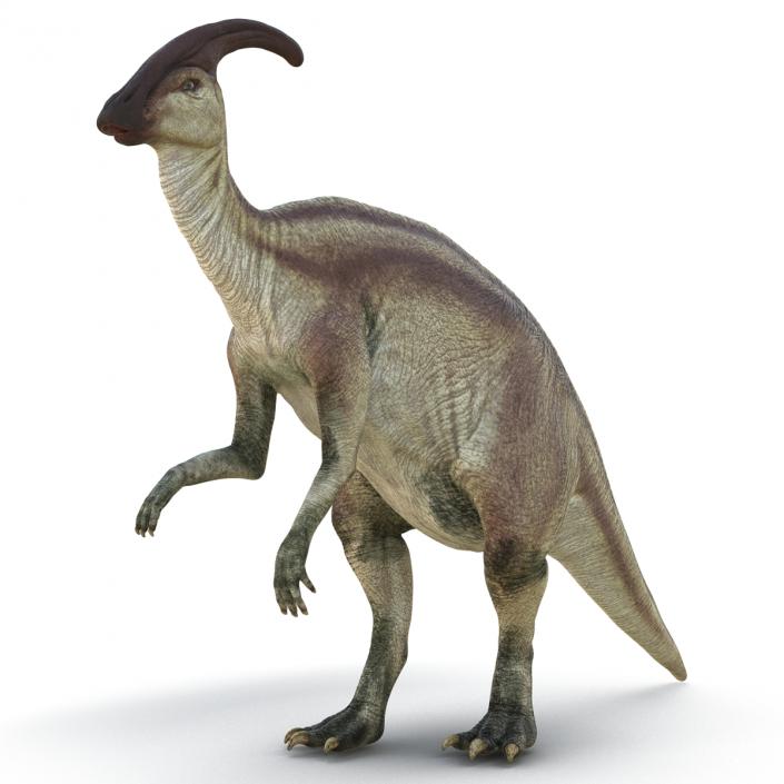 Parasaurolophus Pose 4 3D