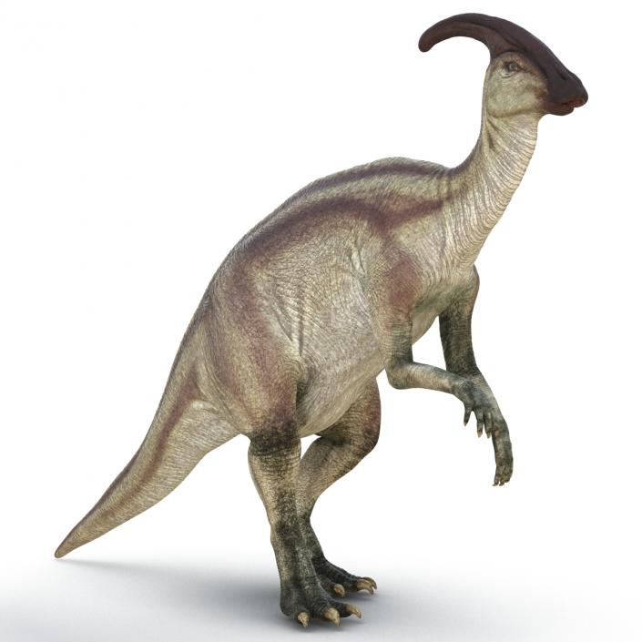 Parasaurolophus Pose 4 3D