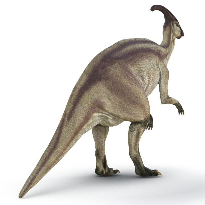 Parasaurolophus Pose 4 3D