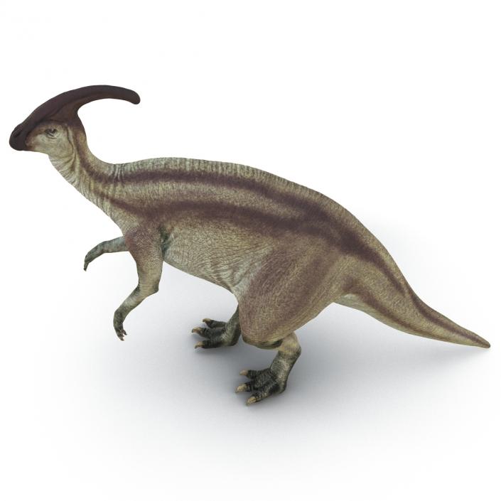 Parasaurolophus Pose 4 3D