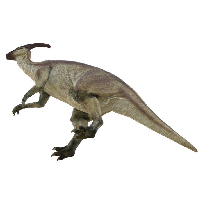 Parasaurolophus Pose 4 3D