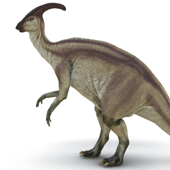 Parasaurolophus Pose 4 3D