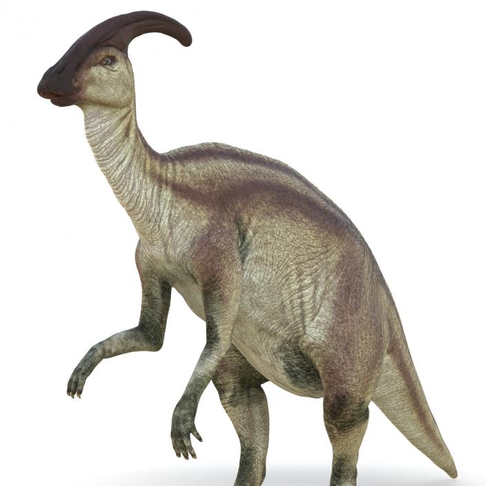 Parasaurolophus Pose 4 3D