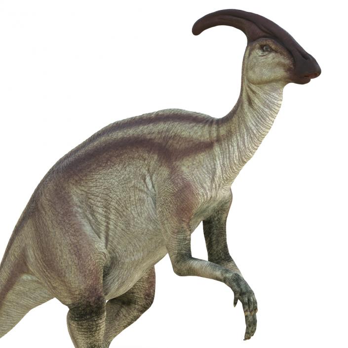 Parasaurolophus Pose 4 3D