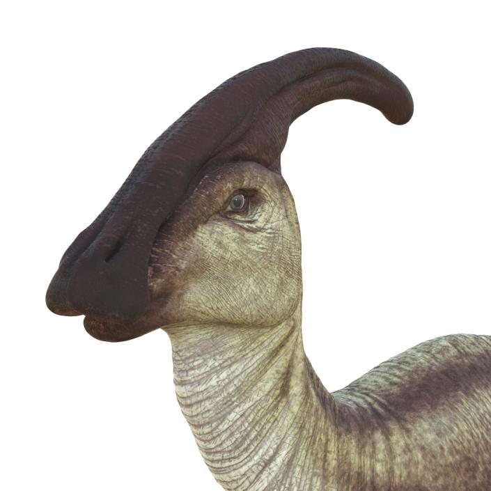 Parasaurolophus Pose 4 3D