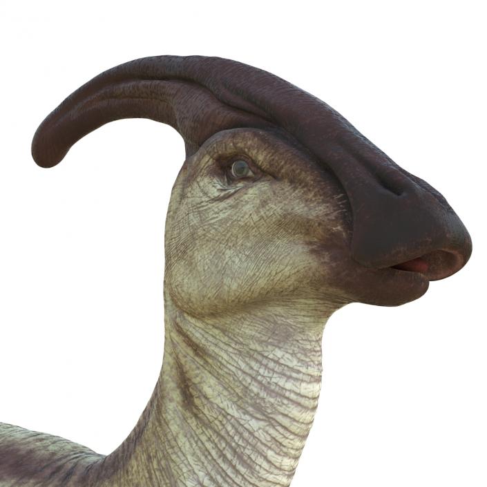 Parasaurolophus Pose 4 3D