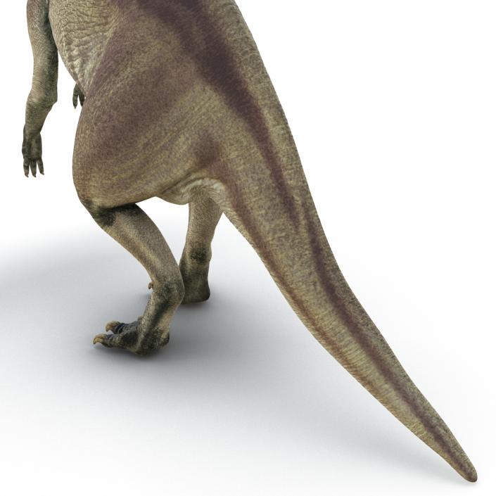 Parasaurolophus Pose 4 3D