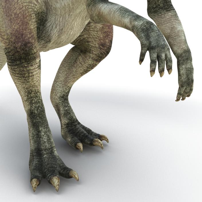 Parasaurolophus Pose 4 3D