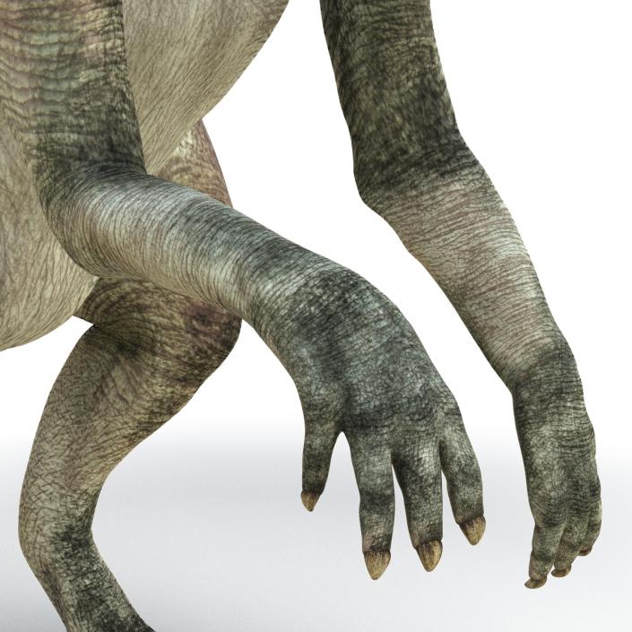 Parasaurolophus Pose 4 3D