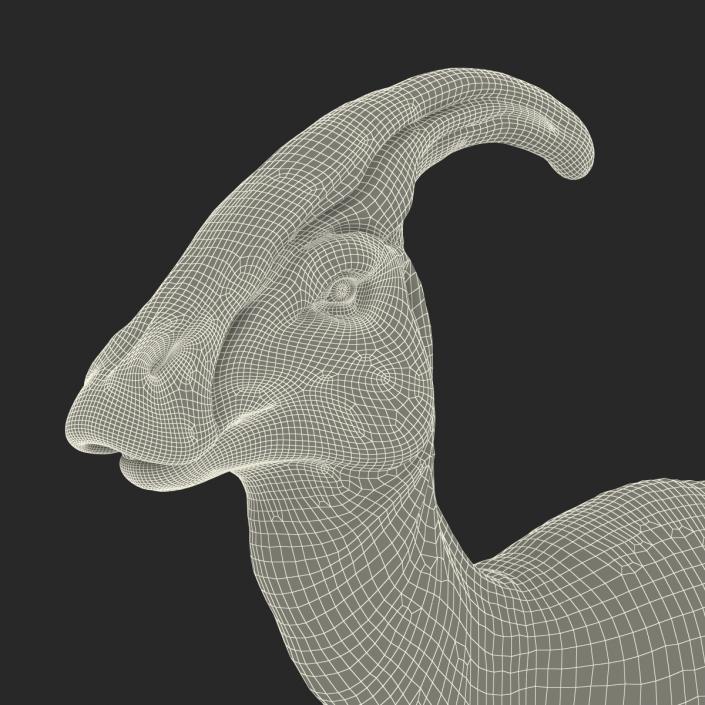 Parasaurolophus Pose 4 3D