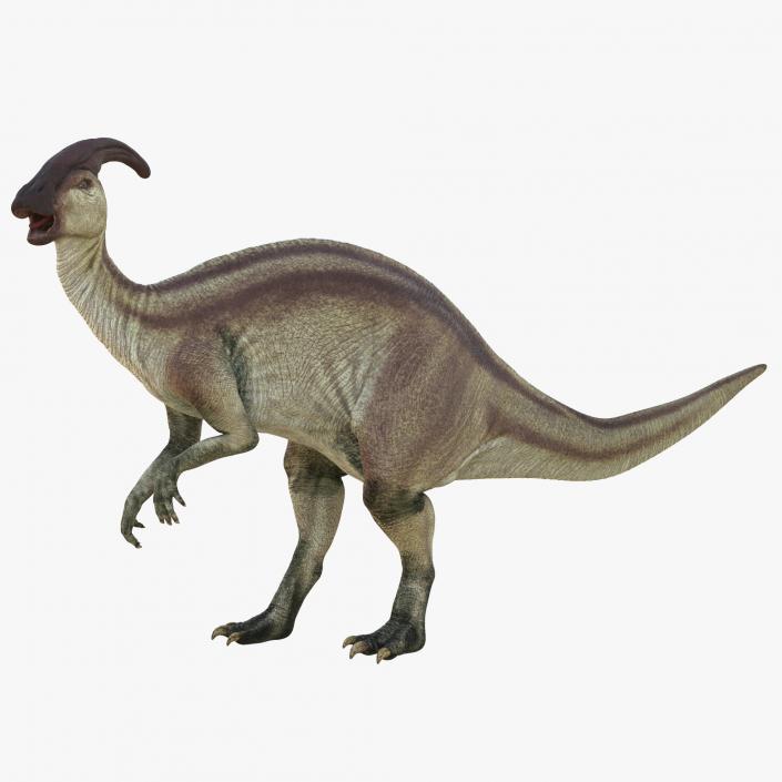 Parasaurolophus Pose 2 3D