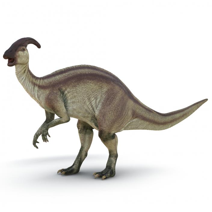 Parasaurolophus Pose 2 3D