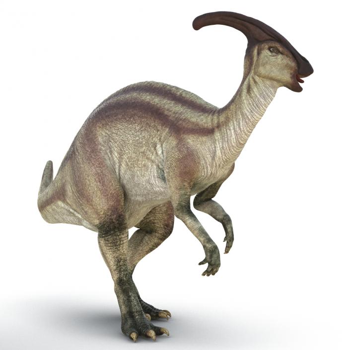 Parasaurolophus Pose 2 3D