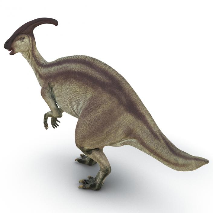 Parasaurolophus Pose 2 3D