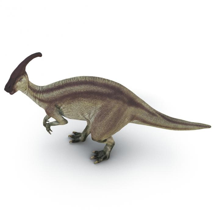 Parasaurolophus Pose 2 3D