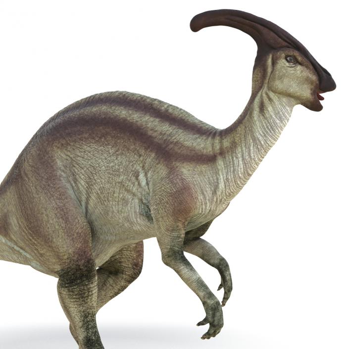 Parasaurolophus Pose 2 3D