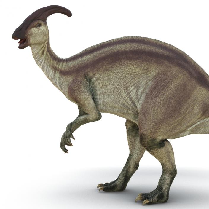 Parasaurolophus Pose 2 3D