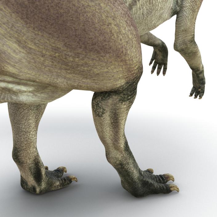 Parasaurolophus Pose 2 3D