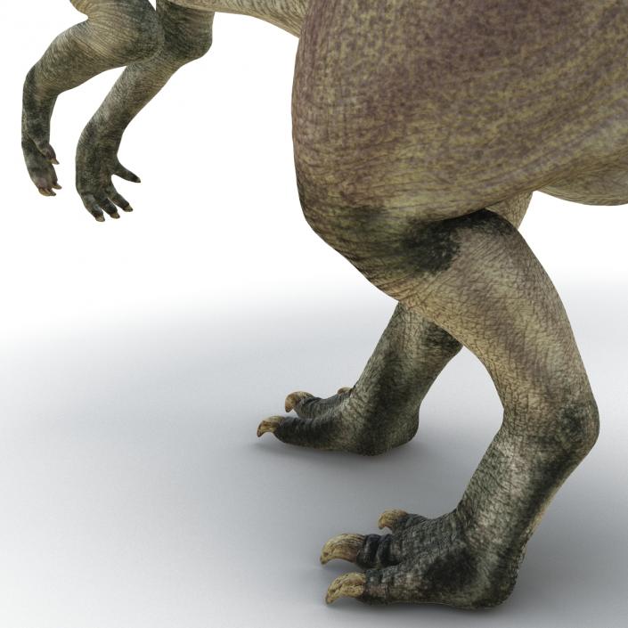 Parasaurolophus Pose 2 3D