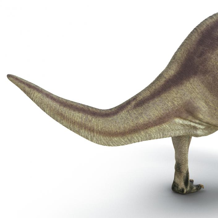 Parasaurolophus Pose 2 3D