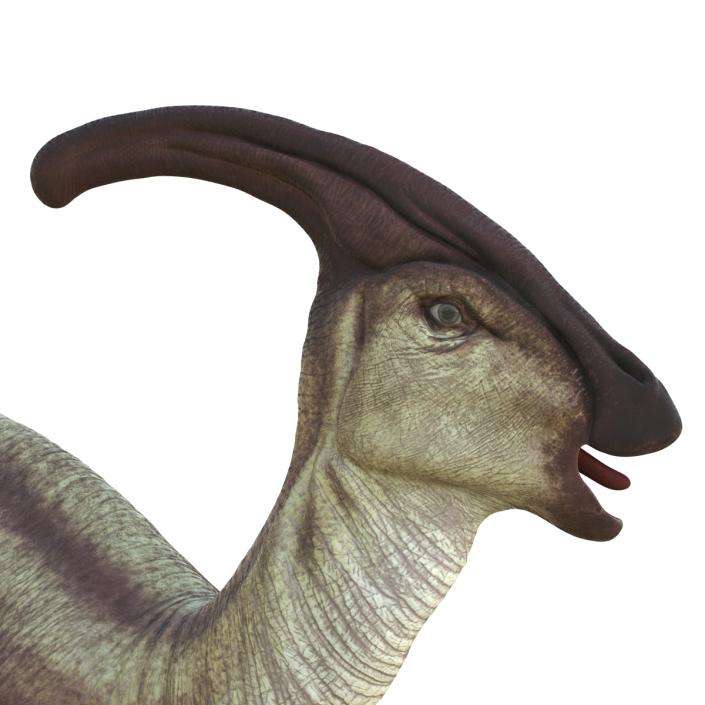 Parasaurolophus Pose 2 3D