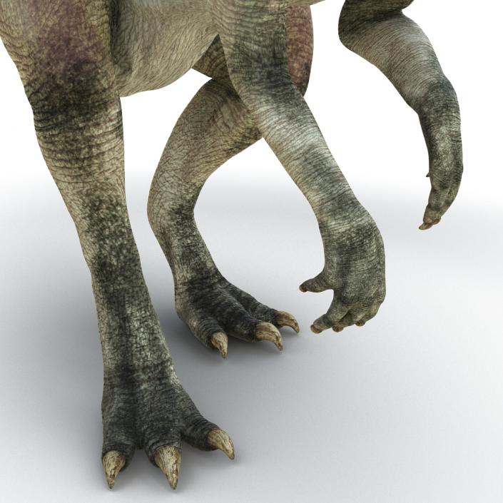 Parasaurolophus Pose 2 3D