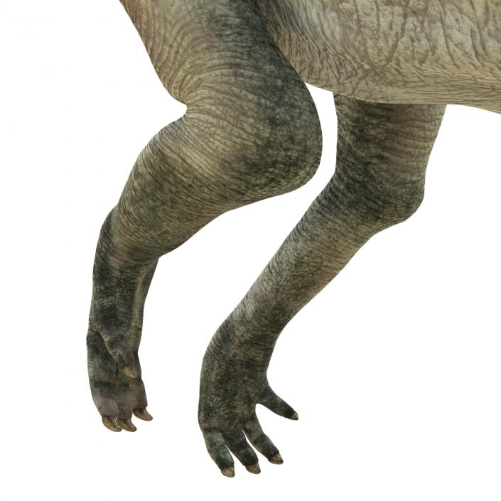 Parasaurolophus Pose 2 3D